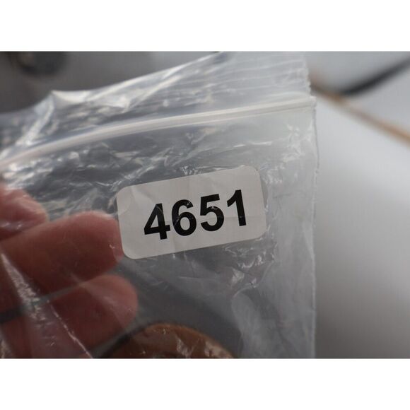 Sam Edelman Women Gigi Sandal Size 9.5 Thong Slingback Silver Snakeskin Leather - Picture 12 of 12